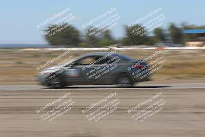 media/Oct-04-2025-OnGrid (Sat) [[44bd565ffa]]/Purple Group/Grapevine/